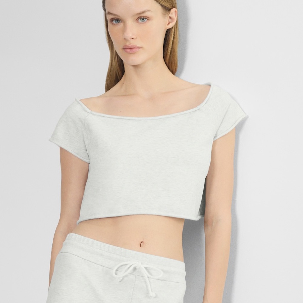 TNA aritzia cropped t